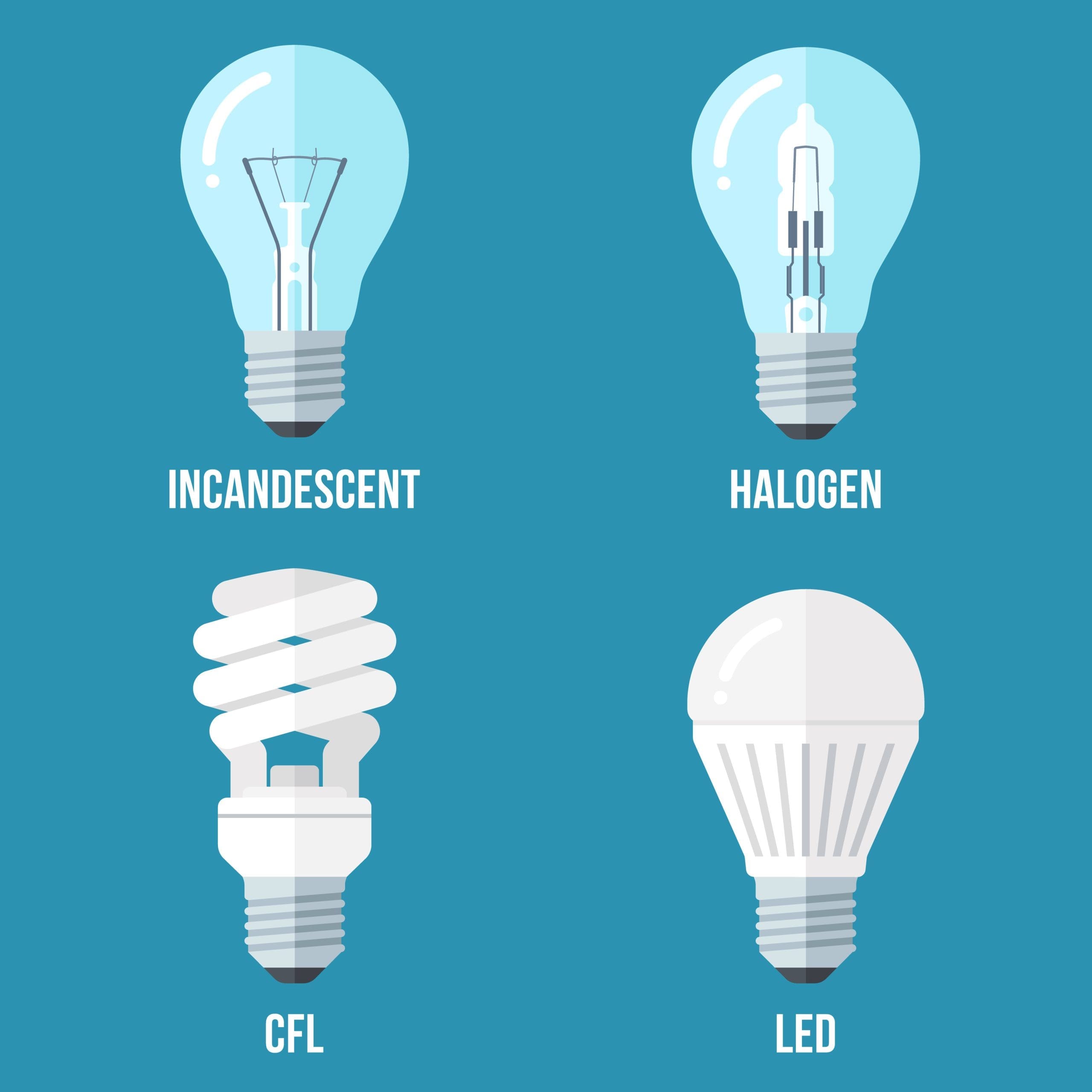 Vector illustration of main electric lighting types: incandescent light bulb, halogen lamp, cfl and led lamp. Flat style.